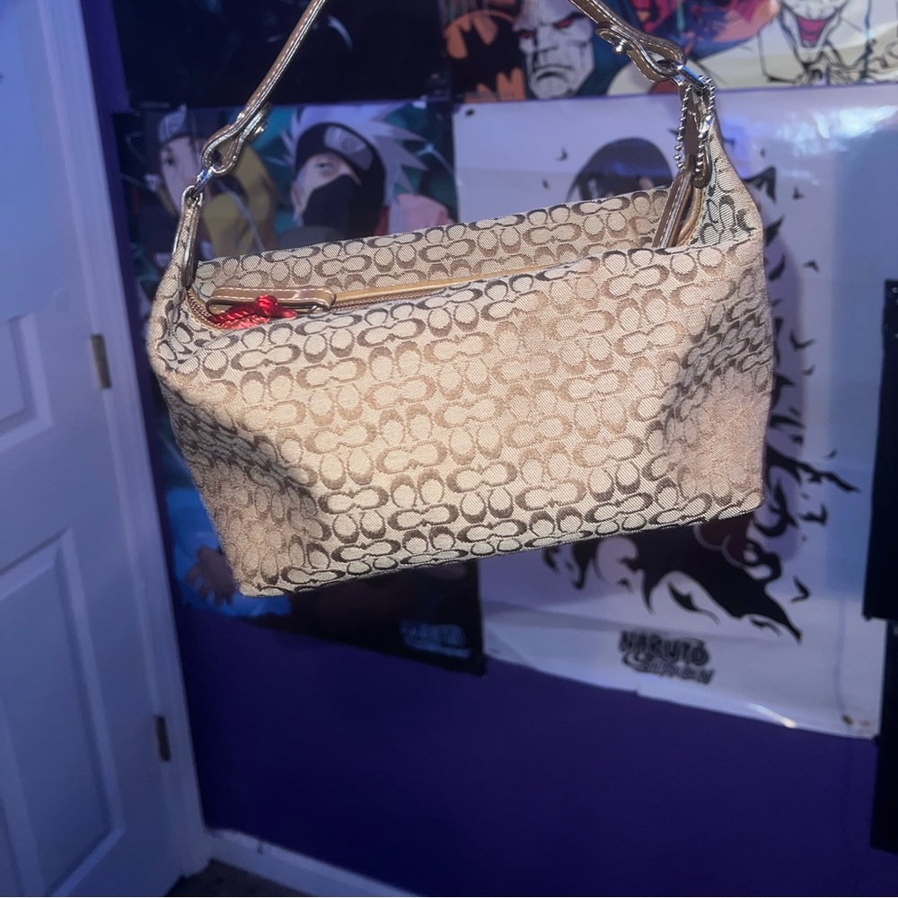 Coach bag